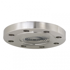 法蘭連接式隔膜密封