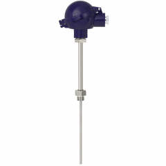 熱電阻溫度計(jì)